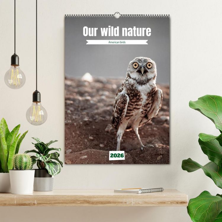 Produktbild: Our wild nature, American birds (Wall Calendar 2026 DIN A2 portrait), CALVENDO 12 Month Wall Calendar