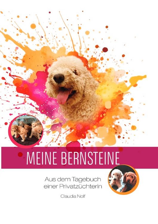 Produktbild: Meine Bernsteine