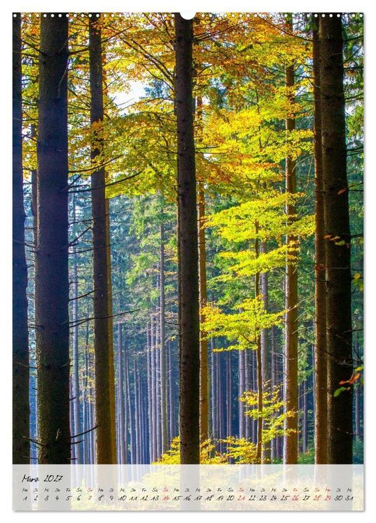 Produktbild: Meine sch&ouml;nsten B&auml;ume (hochwertiger Premium Wandkalender 2027 DIN A2 hoch), Kunstdruck in Hochglanz