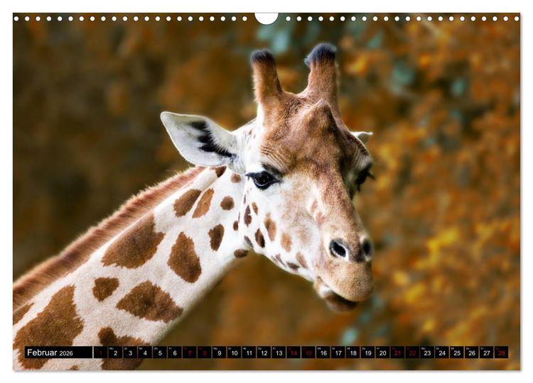 Produktbild: Wild Animals - Wilde Tiere (Wandkalender 2026 DIN A3 quer), CALVENDO Monatskalender