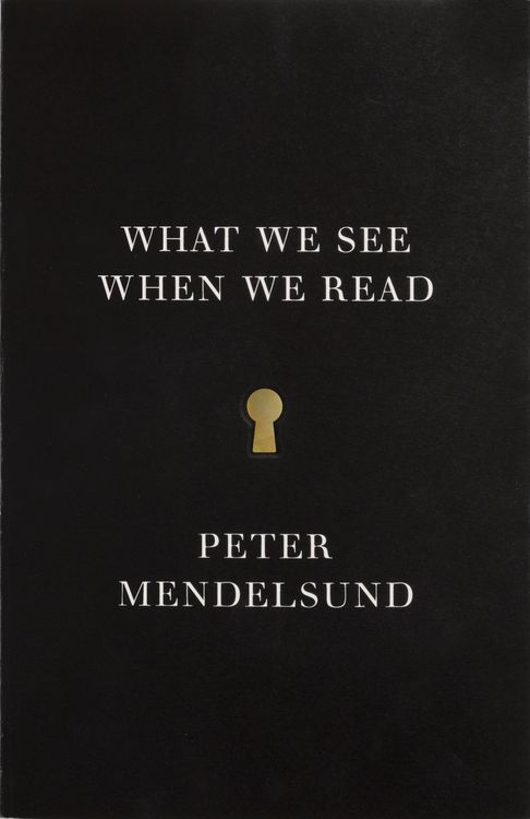 Produktbild: What We See When We Read