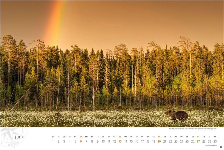 Produktbild: Skandinavien Globetrotter Kalender 2027 - Von stillen W&auml;ldern, Seen und Fjorden