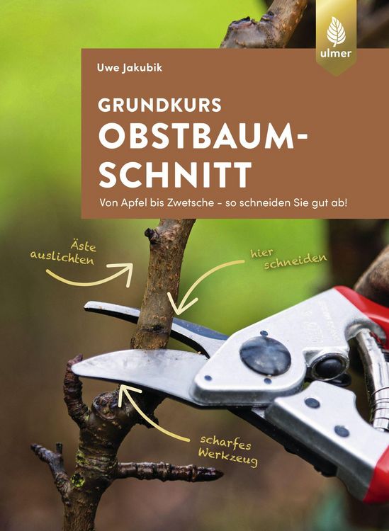 Produktbild: Grundkurs Obstbaumschnitt