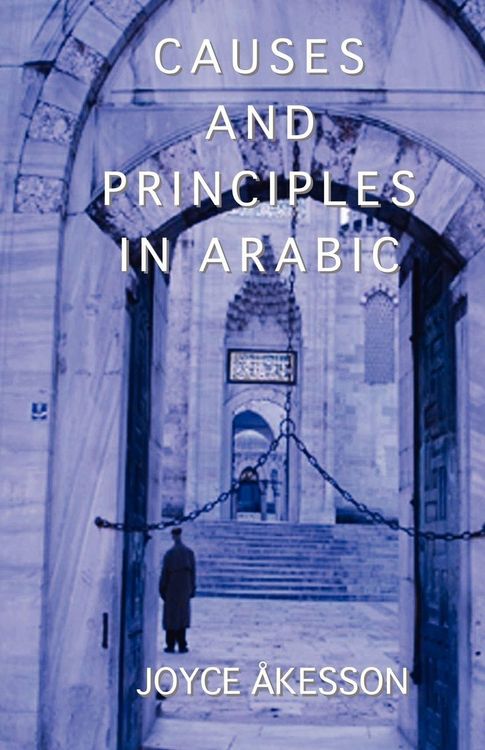 Produktbild: Causes and Principles in Arabic