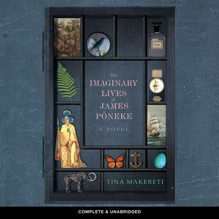 Produktbild: The Imaginary Lives of James Pōneke