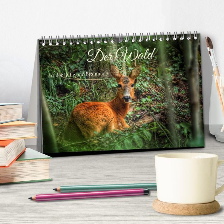 Produktbild: Der Wald - Ort der Ruhe und Besinnung (Tischkalender 2026 DIN A5 quer), CALVENDO Monatskalender