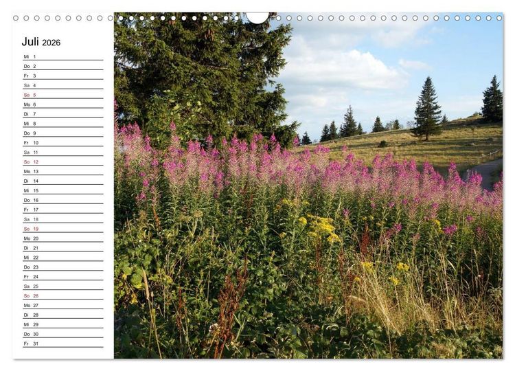 Produktbild: S&uuml;dschwarzwald - Impressionen (Wandkalender 2026 DIN A3 quer), CALVENDO Monatskalender