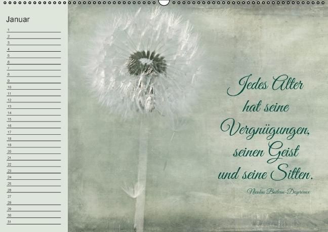 Produktbild: Spruchreifer Geburtstagskalender (Wandkalender immerw&auml;hrend DIN A2 quer)