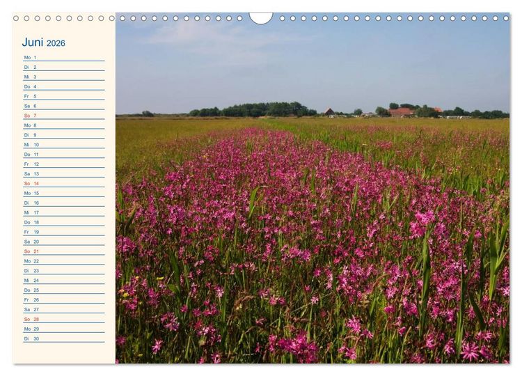 Produktbild: Urlaub auf Borkum (Wandkalender 2026 DIN A3 quer), CALVENDO Monatskalender