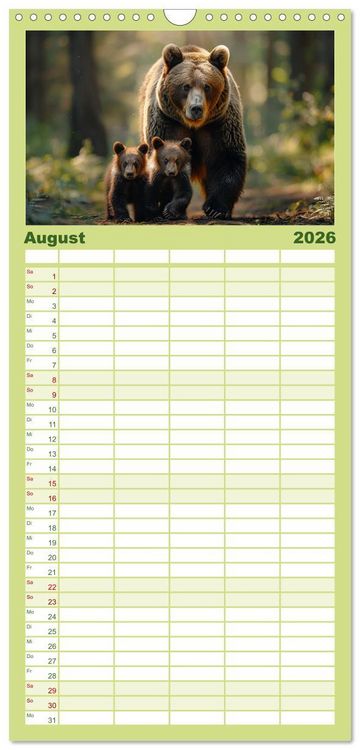 Produktbild: Familienplaner 2026 - Wildes B&auml;renland mit 5 Spalten (Wandkalender, 21 x 45 cm) CALVENDO