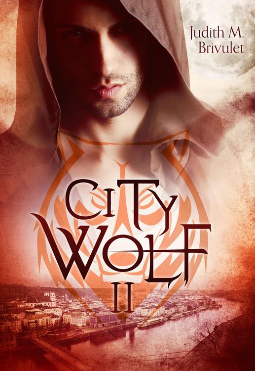 Bild vom Artikel CityWolf II vom Autor Judith M. Brivulet