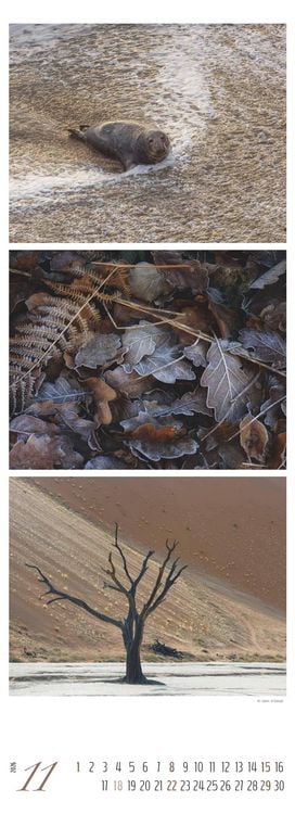 Produktbild: Colours of Nature - Triplets 2026 - Streifenkalender XXL 25x69 cm - Bildkalender im Hochformat - Naturkalender - Wandkalender - Wandplaner