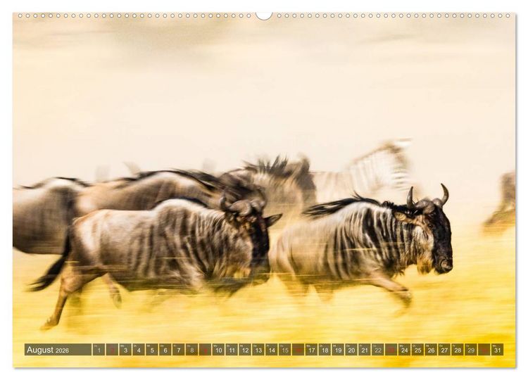 Produktbild: Ostafrika (Wandkalender 2026 DIN A2 quer), CALVENDO Monatskalender