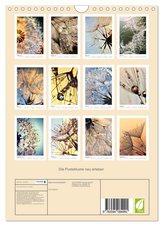Produktbild: Die Pusteblume neu erleben (Wandkalender 2027 DIN A4 hoch), CALVENDO Monatskalender