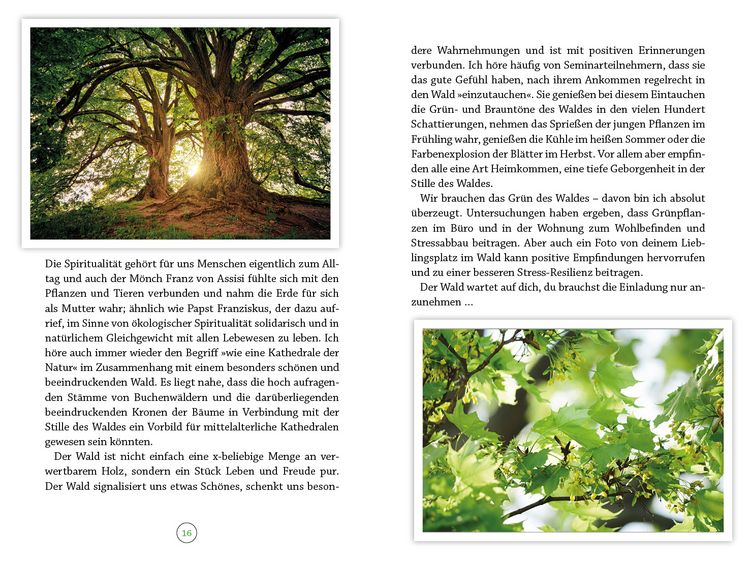 Produktbild: Wohlf&uuml;hlort Wald