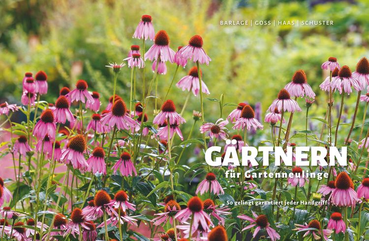 Produktbild: G&auml;rtnern f&uuml;r Gartenneulinge