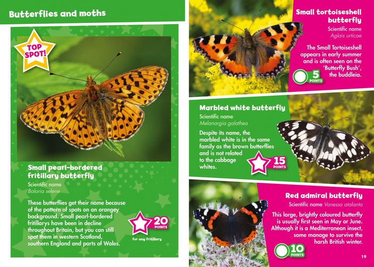 Produktbild: Ispy Creepy Crawlies Pb