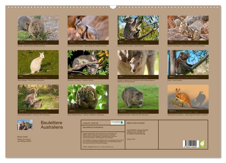 Produktbild: Beuteltiere Australiens (Wandkalender 2026 DIN A2 quer), CALVENDO Monatskalender