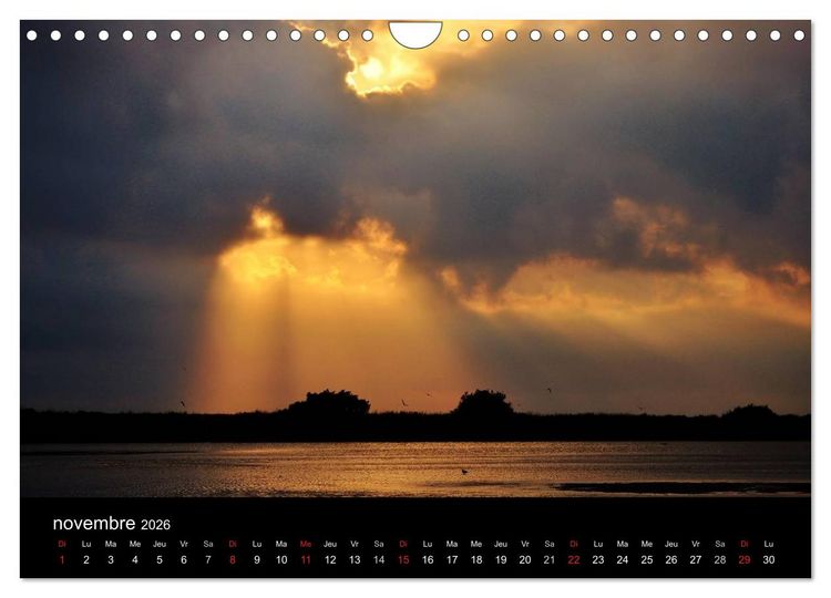 Produktbild: Camargue Entre mer et nature (Calendrier mural 2026 DIN A4 vertical), CALVENDO calendrier mensuel