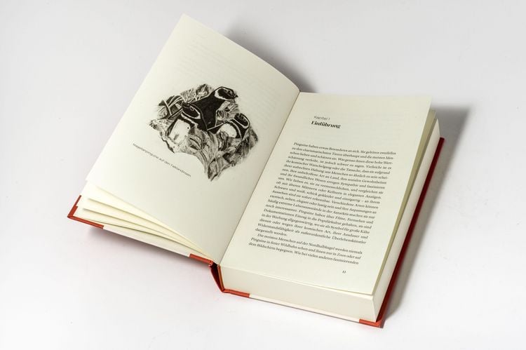 Produktbild: Das kleine Buch der Pinguine