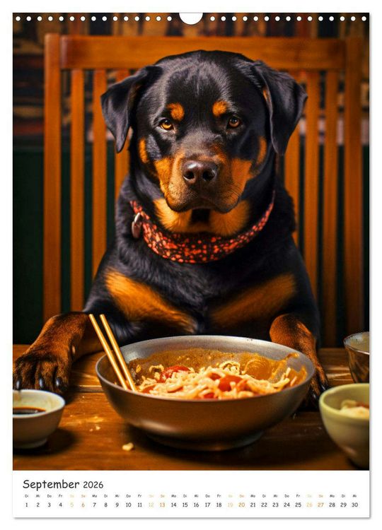 Produktbild: Hunde & Ramen - Ein Jahr voller Genuss und Freude (Wandkalender 2026 DIN A3 hoch), CALVENDO Monatskalender