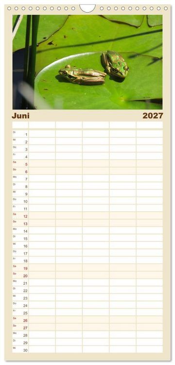 Produktbild: Familienplaner 2027 - Fr&ouml;sche - Die wundersch&ouml;ne Welt der bunten H&uuml;pfer. mit 5 Spalten (Wandkalender, 21 x 45 cm) CALVENDO