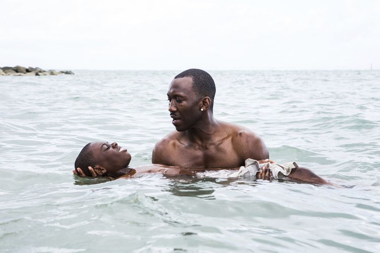 Produktbild: Moonlight