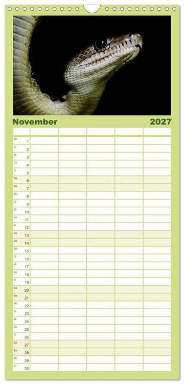 Produktbild: Familienplaner 2027 - Schlangen mit 5 Spalten (Wandkalender, 21 x 45 cm) CALVENDO