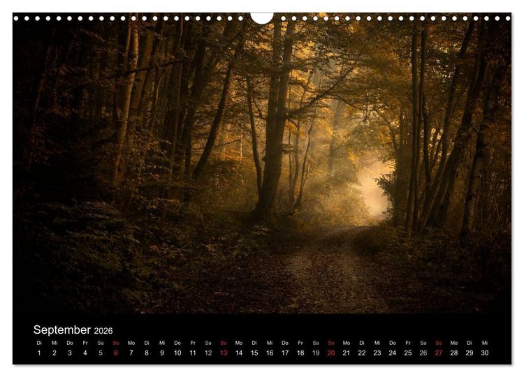 Produktbild: Mysterium Wald (Wandkalender 2026 DIN A3 quer), CALVENDO Monatskalender