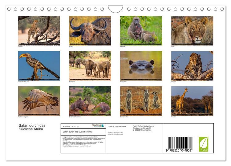 Produktbild: Safari durch das S&uuml;dliche Afrika (Wandkalender 2026 DIN A4 quer), CALVENDO Monatskalender