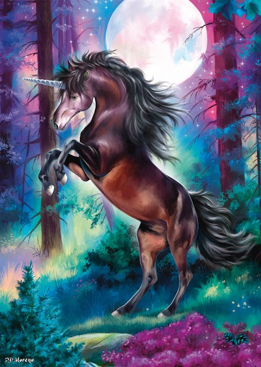 Produktbild: Einhorn bei Vollmond