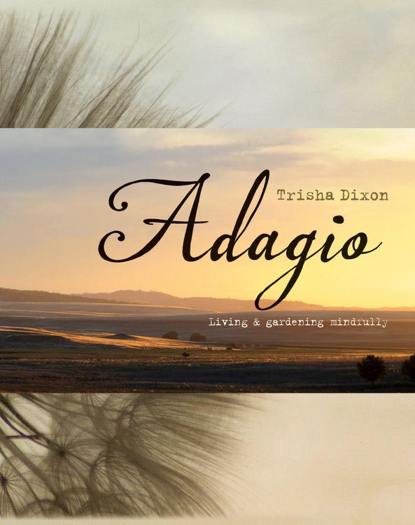 Produktbild: Dixon, T: Adagio