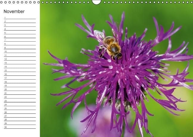 Produktbild: Ich denk an Dich ... Pers&ouml;nlicher Terminkalender (Wandkalender immerw&auml;hrend DIN A3 quer)