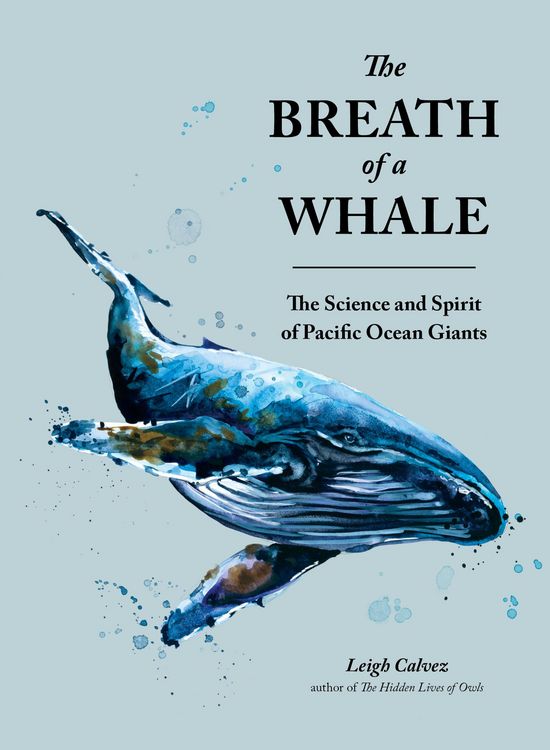 Produktbild: The Breath of a Whale