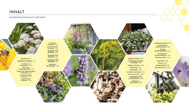 Produktbild: Wildbienenfreundlich g&auml;rtnern f&uuml;r Balkon, Terrasse und kleine G&auml;rten