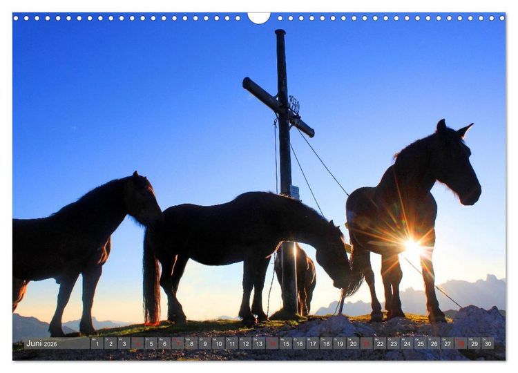 Produktbild: Gipfelkreuze im Sonnenlicht (Wandkalender 2026 DIN A3 quer), CALVENDO Monatskalender