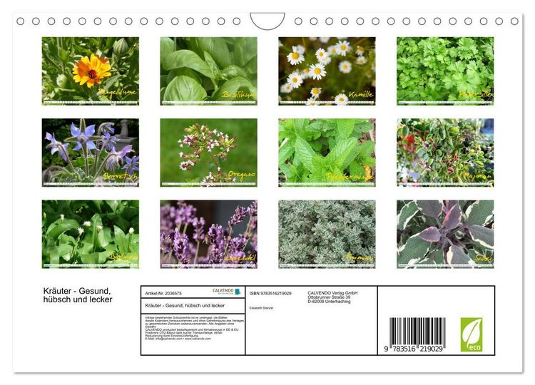 Produktbild: Kr&auml;uter - Gesund, h&uuml;bsch und lecker (Wandkalender 2026 DIN A4 quer), CALVENDO Monatskalender