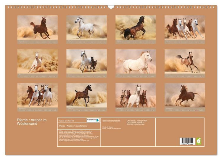 Produktbild: Pferde &bull; Araber im W&uuml;stensand (Wandkalender 2026 DIN A2 quer), CALVENDO Monatskalender