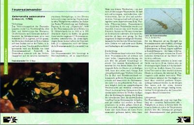 Produktbild: Amphibien am Gartenteich