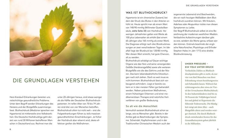 Produktbild: Nat&uuml;rliche Blutdrucksenker