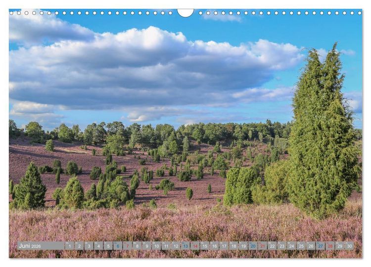 Produktbild: L&uuml;neburger Heide - Faszinierend sch&ouml;n (Wandkalender 2026 DIN A3 quer), CALVENDO Monatskalender