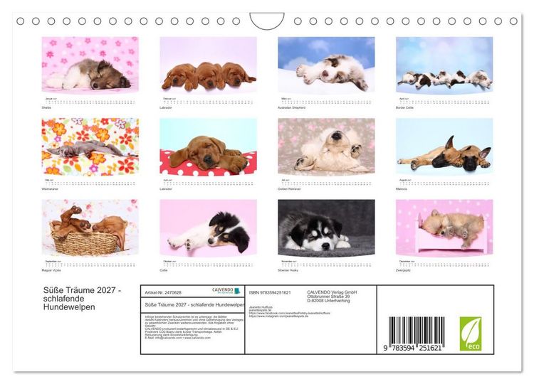 Produktbild: S&uuml;&szlig;e Tr&auml;ume 2027 - schlafende Hundewelpen (Wandkalender 2027 DIN A4 quer), CALVENDO Monatskalender