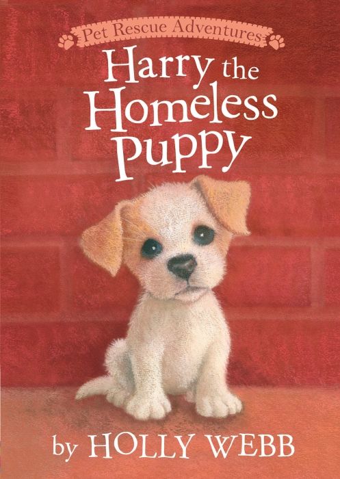 Produktbild: Harry The Homeless Puppy
