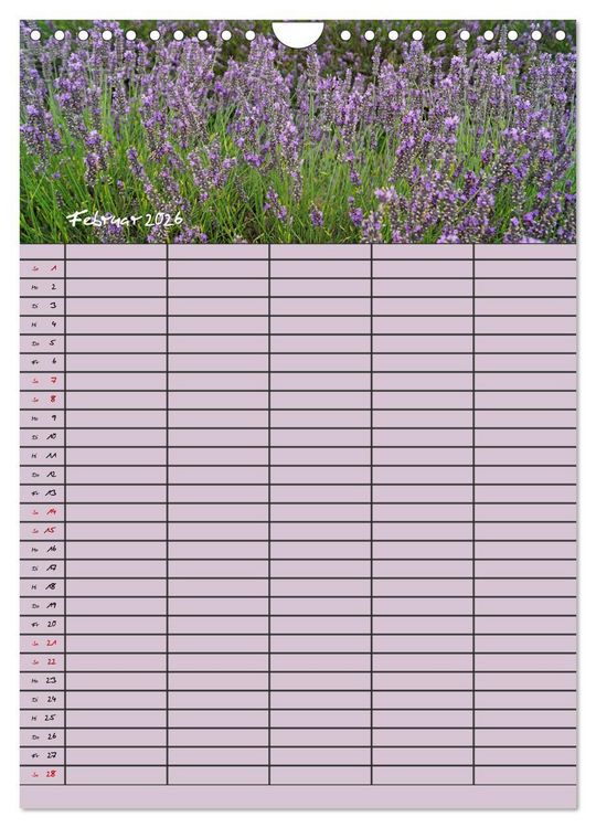Produktbild: Naturzauber Lavendel - Familienplaner (Wandkalender 2026 DIN A4 hoch), CALVENDO Monatskalender