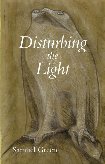 Produktbild: Disturbing the Light