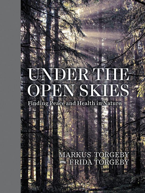 Produktbild: Under the Open Skies