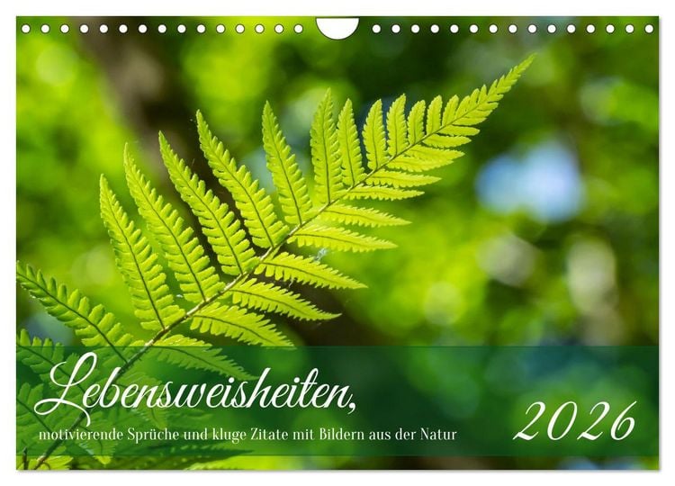 Produktbild: Lebensweisheiten, motivierende Spr&uuml;che und kluge Zitate mit Bildern der Natur (Wandkalender 2026 DIN A4 quer), CALVENDO Monatskalender
