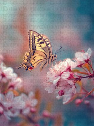 Produktbild: CALVENDO Puzzle Bl&uuml;tenregen, Fr&uuml;hling f&uuml;r das Herz | 1000 Teile Lege-Gr&ouml;&szlig;e 64x48cm Foto-Puzzle f&uuml;r gl&uuml;ckliche Stunden