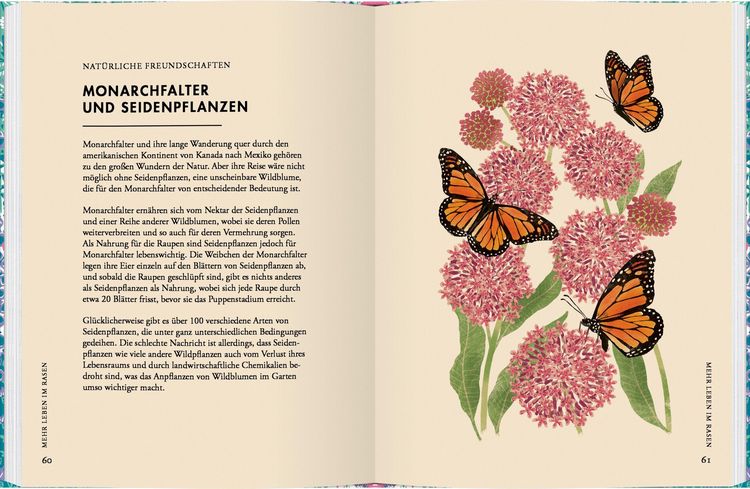 Produktbild: Wildblumen pflanzen