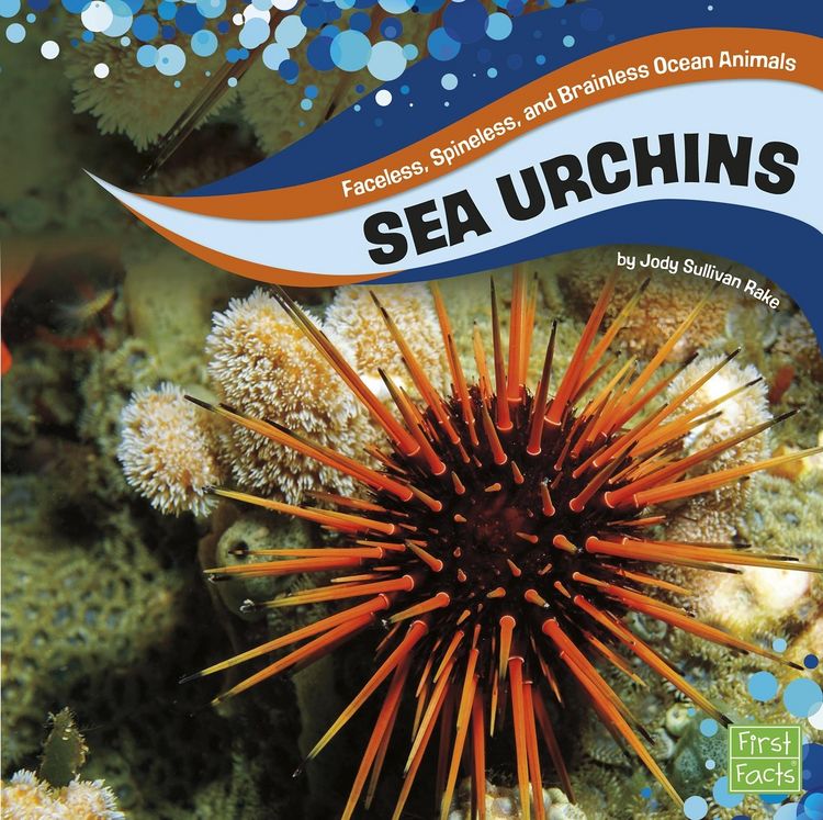 Produktbild: Sea Urchins